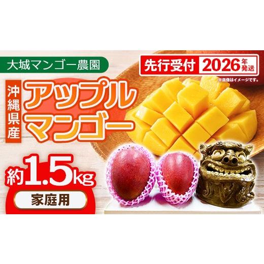 ふるさと納税 マンゴー 沖縄県 八重瀬町 先行受付 2026年発送 大城マンゴー農園 マンゴー 家庭用 約1.5kg - 先行予約 アップルマンゴー 沖縄 産地直送 南国フ…