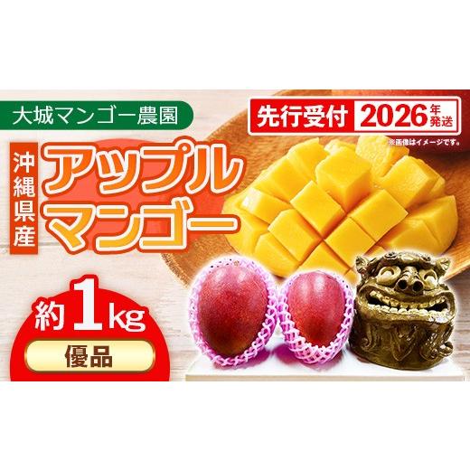 ふるさと納税 マンゴー 沖縄県 八重瀬町 先行受付 2026年発送 大城マンゴー農園 マンゴー 優品 約1kg - 先行予約 アップルマンゴー 沖縄 産地直送 南国フルー…