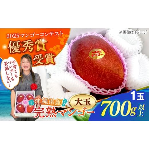 ふるさと納税 マンゴー 沖縄県 沖縄市 最優秀賞受賞 沖縄県産 完熟マンゴー 大玉 1個入り マンゴー 沖縄 果物 フルーツ ギフト 沖縄市 / MAIFARM