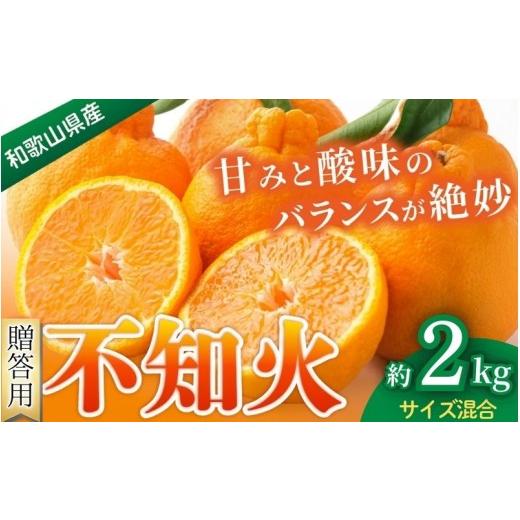 ふるさと納税 みかん・柑橘類 和歌山県 かつらぎ町 贈答用 森本農園の手選別 不知火 約2kg 和歌山県産 サイズ混合 北海道・沖縄・離島配送不可 1月下旬〜4月…