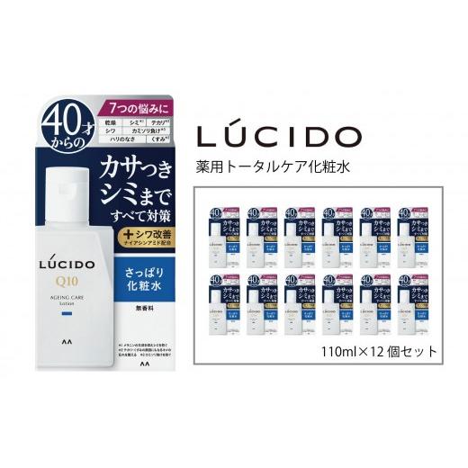 ふるさと納税 美容 化粧水 兵庫県 福崎町 マンダム ルシード 薬用 トータルケア 化粧水 12個セット MA-24B LUCIDO 男性化粧品 12個