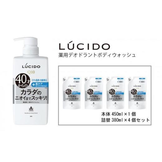 ふるさと納税 美容 兵庫県 福崎町 マンダム ルシード 薬用デオドラントボディウォッシュ 本体1個+詰替用4個 MA-33B LUCIDO ヘアケア お風呂 本体1個+詰替4…