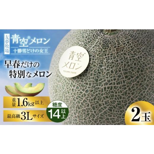 ふるさと納税 メロン メロン青肉 北海道 新得町 5月以降順次発送 青空メロン 十勝雪どけの女王 2玉(3L 糖度14以上) | 友夢牧場