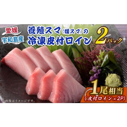ふるさと納税 旬の鮮魚等 愛媛県 宇和島市 スマ 幻 の 高級魚 養殖スマ(媛スマ)皮付ロイン 2パック こもこもShop ロイン 養殖 刺身 お刺身 お刺し身 刺し身 …