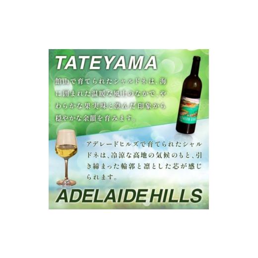 ふるさと納税 ワイン 白ワイン 千葉県 館山市 マシューズワイン サザングレイス 白(シャルドネ) 750ml 1721523