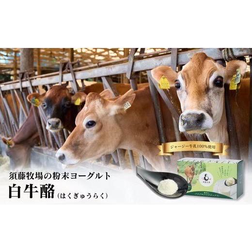 ふるさと納税 調味料・油 千葉県 館山市 ジャージー生乳100% 完全無添加フリーズドライヨーグルト「白牛酪」 1721977