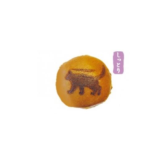 ふるさと納税 和菓子 長野県 茅野市 しっかり焼き上げた香ばしいどら焼き 10個 1719235