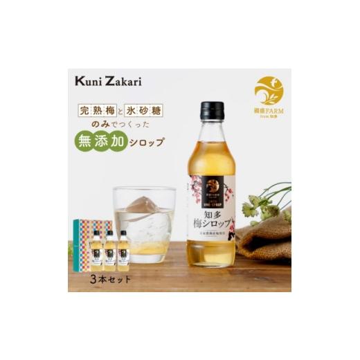 ふるさと納税 果汁飲料 愛知県 半田市 國盛ファーム 梅シロップ 3本セット 1720874