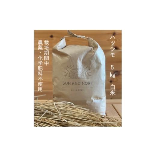 ふるさと納税 米 岐阜県 養老町 令和7年産 初霜(源種) 白米5kg (栽培期間中農薬・化学肥料不使用) 1721451