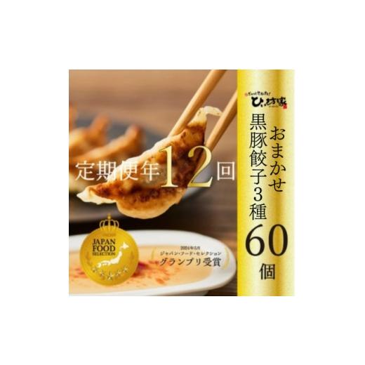 ふるさと納税 餃子 鹿児島県 南九州市 毎月定期便 ひぃ坊家が毎月選ぶ餃子定期便 餃子3種の中から60個セット全12回 4081568