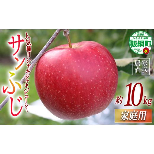 ふるさと納税 りんご 長野県 飯綱町 りんご サンふじ 家庭用 10kg 一里山農園 2026年12月上旬頃から2026年12月中旬頃まで順次発送予定 令和8年度収穫分 エコフ…