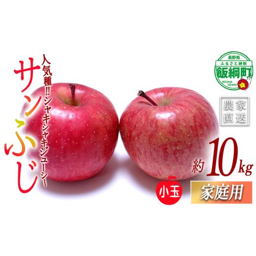 ふるさと納税 りんご 長野県 飯綱町 りんご サンふじ (小玉) 家庭用 10kg 一里山農園 沖縄県への配送不可 2026年12月上旬頃から2026年12月中旬頃まで順次発送…