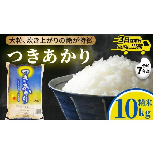 ふるさと納税 米 茨城県 城里町 つきあかり 10kg (5kg×2袋) 令和7年産 精米 米 コメ こめ 単一米 限定 国産 美味しい お米 おこめ おコメ 茨城県 城里町産 (A…