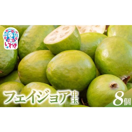 ふるさと納税 果物類 福島県 いわき市 先行予約 フェイジョア果実(中玉) 8個入り | フェイジョア 果実 中玉 8個入り ゆうゆうファーム 福島県 いわき市 国産 …