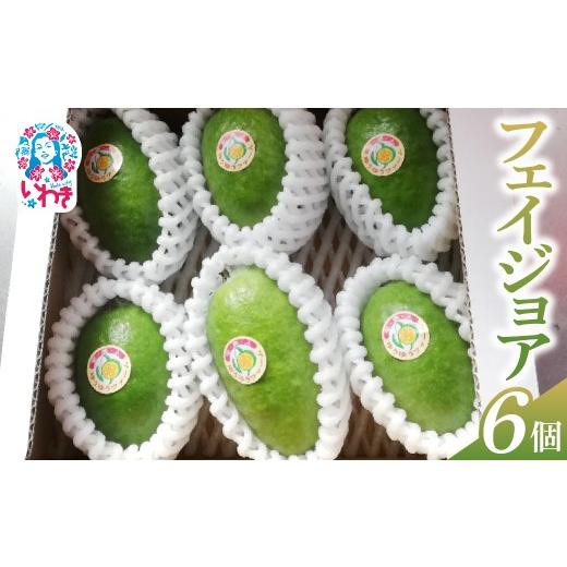 ふるさと納税 果物類 福島県 いわき市 先行予約 フェイジョア果実(大玉) 6個入り | フェイジョア 果実 大玉 6個入り ゆうゆうファーム 福島県 いわき市 国産 …