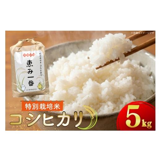 ふるさと納税 米 コシヒカリ 石川県 中能登町 米 令和7年産 特別栽培米 コシヒカリ 5kg 精米 ハッピーダイヤモンド 石川県 中能登町 nk17bjo780000 お米 こめ …