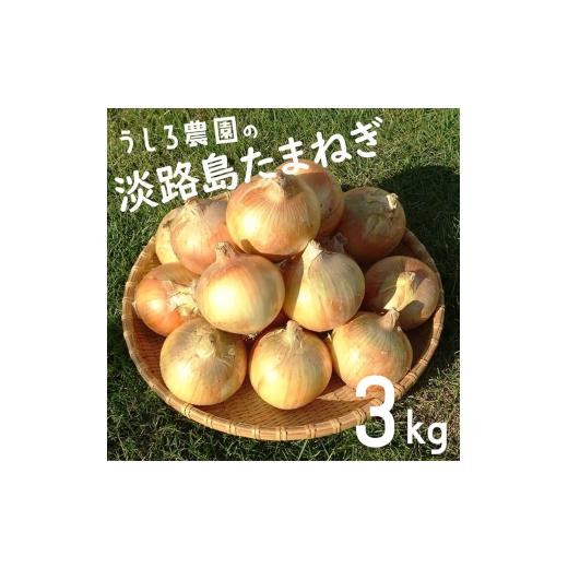 ふるさと納税 野菜類 玉ねぎ 兵庫県 洲本市 淡路島の玉ねぎ 3kg 中生 玉ねぎ たまねぎ 玉葱 オニオン 野菜 甘み コク 旨み 炒め物 カレー 肉じゃが ステーキ…