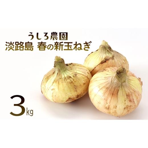 ふるさと納税 野菜類 玉ねぎ 兵庫県 洲本市 淡路島 春の新玉ねぎ 3kg 早生 新玉ねぎ 玉ねぎ たまねぎ 玉葱 オニオン 野菜 肉厚 ジューシー スライス ホイル…