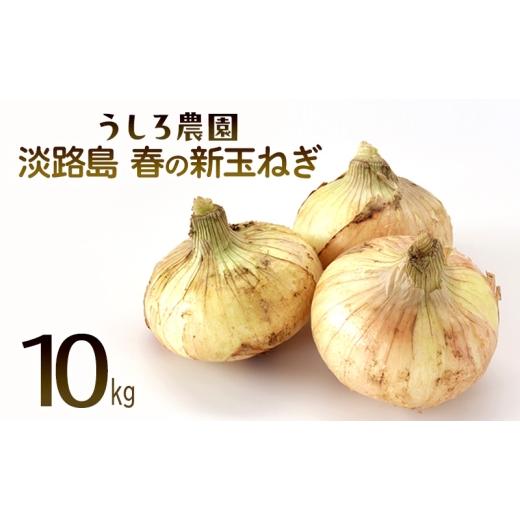 ふるさと納税 野菜類 玉ねぎ 兵庫県 洲本市 淡路島 春の新玉ねぎ 10kg 早生 新玉ねぎ 玉ねぎ たまねぎ 玉葱 オニオン 野菜 肉厚 ジューシー スライス ホイ…の画像