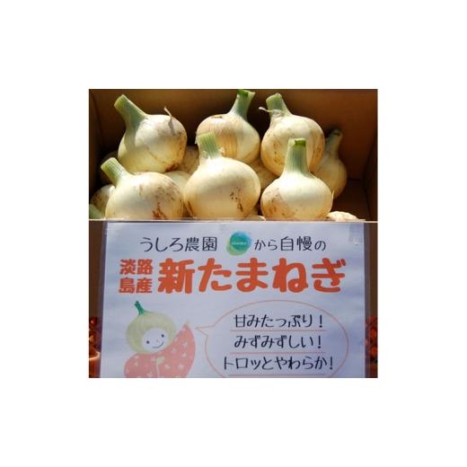 ふるさと納税 野菜類 玉ねぎ 兵庫県 洲本市 淡路島 春の新玉ねぎ 10kg 早生 新玉ねぎ 玉ねぎ たまねぎ 玉葱 オニオン 野菜 肉厚 ジューシー スライス ホイ…の画像