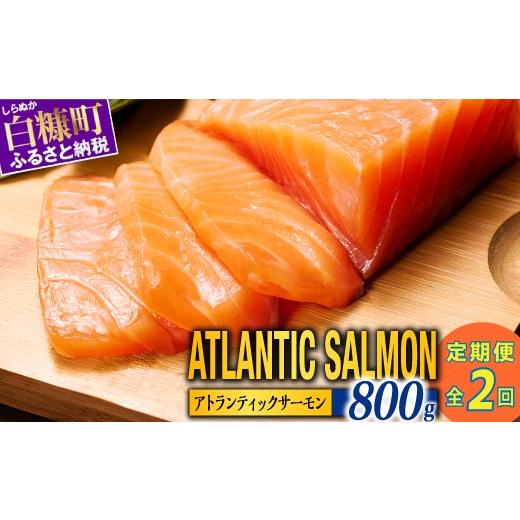 ふるさと納税 魚貝類 サーモン 北海道 白糠町 定期便 アトランティックサーモン 800g 2回お届け 小分け 鮭 サーモン アトランティックサーモン 水産庁長官賞 …