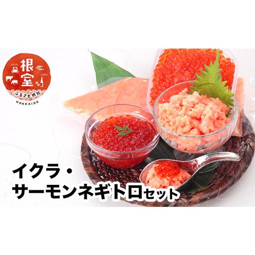 ふるさと納税 いくら 北海道 根室市 A-24022 いくら80g×2P・アトランティックサーモンネギトロ2Pセット