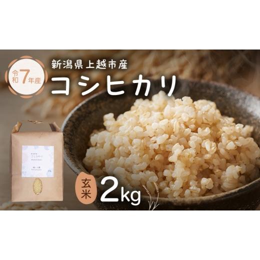 ふるさと納税 米 コシヒカリ 新潟県 上越市 新潟県特別栽培農作物 玄米 新潟県上越市産 横山農園 コシヒカリ 令和7年産 2kg(2kg×1袋)こしひかり お米 ご飯 …