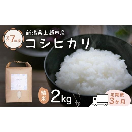 ふるさと納税 米 コシヒカリ 新潟県 上越市 定期便 3ヶ月 米 新潟県上越市産 横山農園 コシヒカリ 令和7年産 2kg(2kg×1袋)毎月毎月3回配送 こしひかり お米…