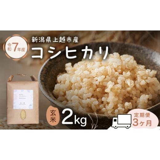 ふるさと納税 米 コシヒカリ 新潟県 上越市 新潟県特別栽培農作物 定期便 3ヶ月 玄米 新潟県上越市産 横山農園 コシヒカリ 令和7年産 2kg(2kg×1袋)毎月3回…