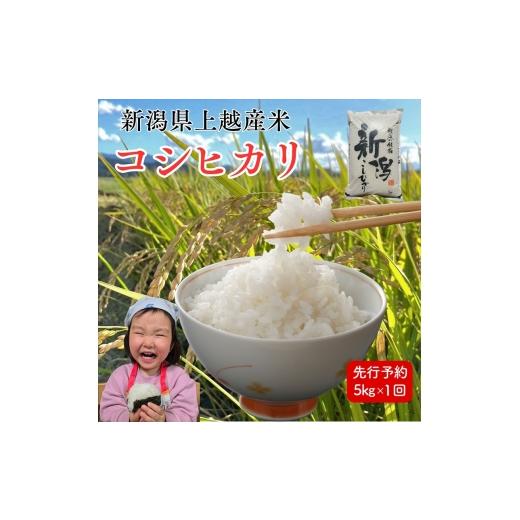 ふるさと納税 米 コシヒカリ 新潟県 上越市 令和8年産 先行予約 上越市産コシヒカリ 5kg 新米 精米 新潟 米 こしひかり 新潟県 上越市 限定 お…
