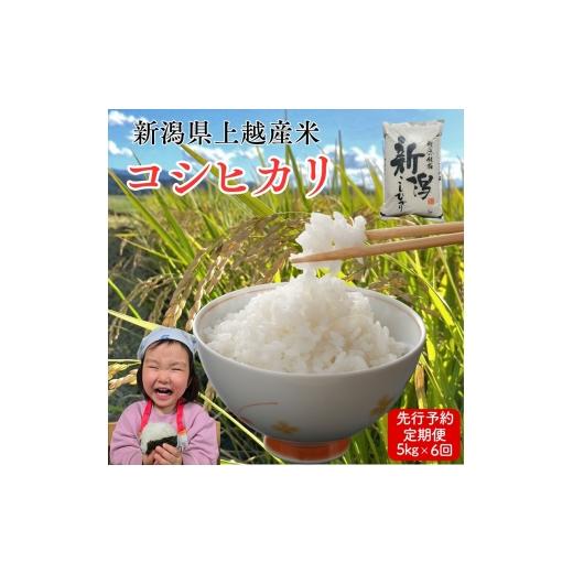 ふるさと納税 米 コシヒカリ 新潟県 上越市 令和8年産 先行予約 上越市産コシヒカリ 5kg×6回定期便 新米 精米 新潟 米 新潟県 こしひかり 限定 定…