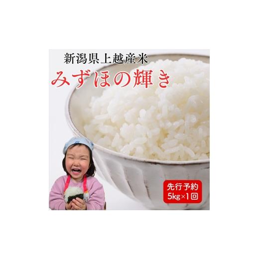 ふるさと納税 米 新潟県 上越市 令和8年産 先行予約 上越市産みずほの輝き 5kg 新米 精米 新潟 米 新潟県 みずほの輝き 限定 おすすめ 米ヴィレッ…