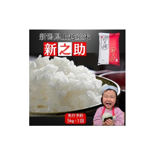 ふるさと納税 米 新潟県 上越市 令和8年産 先行予約 上越市産新之助 5kg 新米 精米 新潟 米 新潟県 新之助 限定 おすすめ 米ヴィレッジさんわ