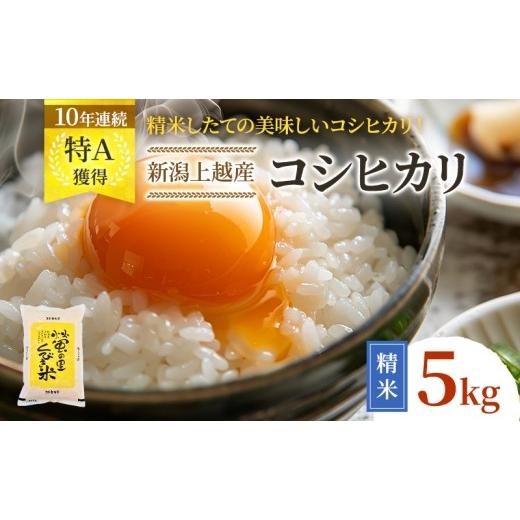 ふるさと納税 米 コシヒカリ 新潟県 上越市 令和8年4月下旬配送 精米したて 令和7年産 新潟上越産 コシヒカリ 5kg 米 こしひかり こめ おすすめ 新潟 新潟県…