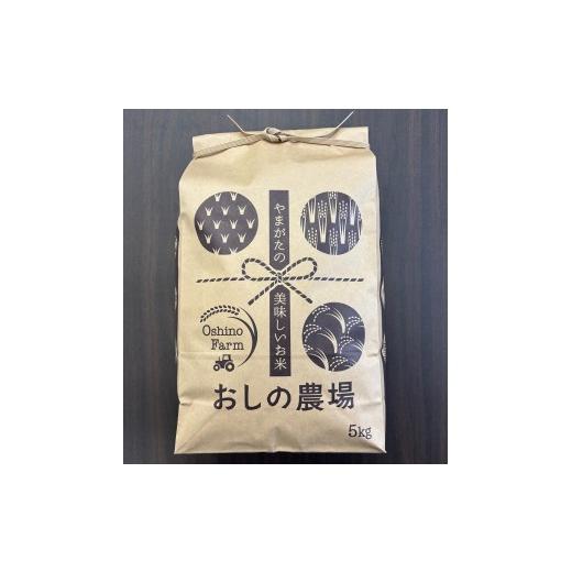 ふるさと納税 米 山形県 天童市 08-44-001 雪若丸5kg