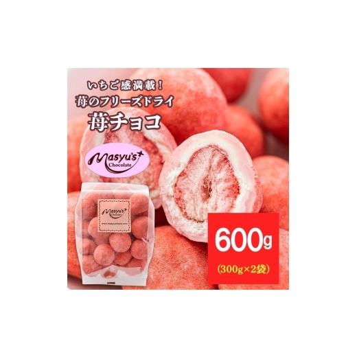 ふるさと納税 菓子 チョコレート 兵庫県 伊丹市 苺のフリーズドライ苺チョコ600g 300gx2袋 4月〜10月発送 チョコレート チョコ スイーツ お菓子 おかし いちご…