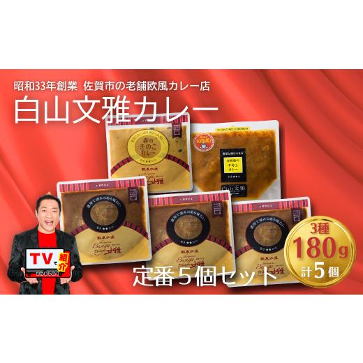 ふるさと納税 牛肉 カレー・シチュー 佐賀県 佐賀市 白山文雅カレー 定番5個セット:B250-032