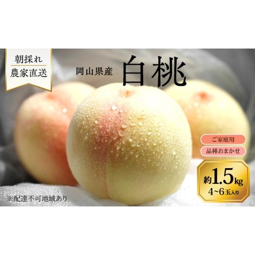 ふるさと納税 もも 岡山県 里庄町 桃 2026年 先行予約 岡山県産 白桃 品種おまかせ ご家庭用 1.5kg(4〜6玉) 朝採れ 農家直送 限定60箱の画像