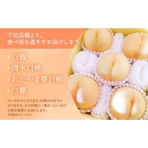 ふるさと納税 もも 岡山県 里庄町 桃 2026年 先行予約 岡山県産 白桃 品種おまかせ ご家庭用 1.5kg(4〜6玉) 朝採れ 農家直送 限定60箱の画像