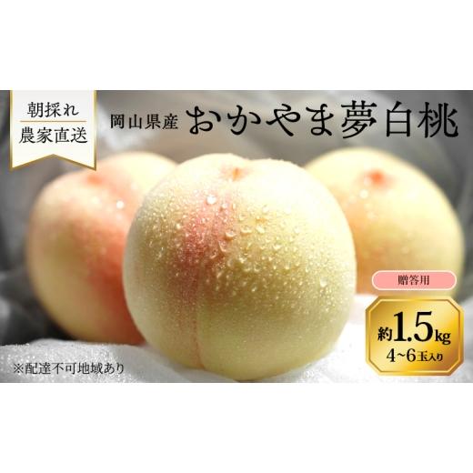 ふるさと納税 もも 岡山県 里庄町 桃 2026年 先行予約 岡山県産 おかやま夢白桃 贈答用 1.5kg(4〜6玉) 朝採れ 農家直送 限定20箱