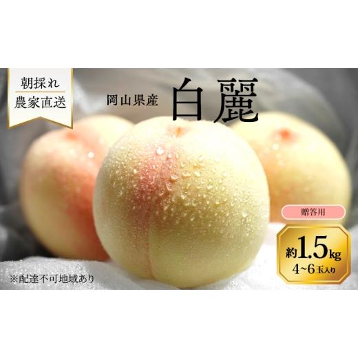 ふるさと納税 もも 岡山県 里庄町 桃 2026年 先行予約 岡山県産 白麗 贈答用 1.5kg(4〜6玉) 朝採れ 農家直送 限定20箱