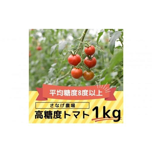 ふるさと納税 トマト ミニトマト 愛知県 豊田市 高糖度トマト 瑞甘 1kg