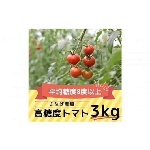 ふるさと納税 トマト ミニトマト 愛知県 豊田市 高糖度トマト 瑞甘 3kg