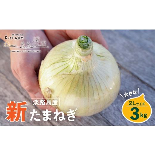ふるさと納税 野菜類 玉ねぎ 兵庫県 淡路市 新たまねぎ 淡路島たまねぎ 大きな2Lサイズ 3kg 発送時期:2026年3月下旬〜5月頃 3kg