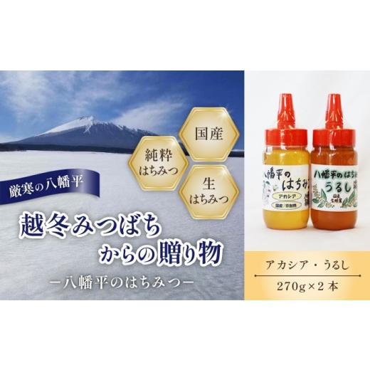 ふるさと納税 加工品等 はちみつ 岩手県 八幡平市 国産純粋はちみつ アカシア うるし 蜂蜜 2種 270g × 各1本 食べ比べ セット / あかしあ アカシヤ あかし…
