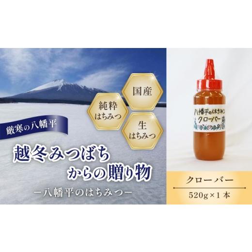 ふるさと納税 加工品等 はちみつ 岩手県 八幡平市 国産純粋はちみつ クローバー 蜂蜜 520g × 1本 / シロツメクサ しろつめくさ クローバー蜜 くろーばー は…