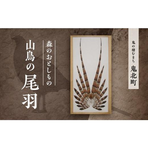 ふるさと納税 雑貨・日用品 インテリア 愛媛県 鬼北町 森のおとしもの 山鳥の尾羽 インテリア 民芸品 工芸品 オブジェ 天然 羽根 鳥 ハネ 野鳥 愛媛県 鬼北町 …
