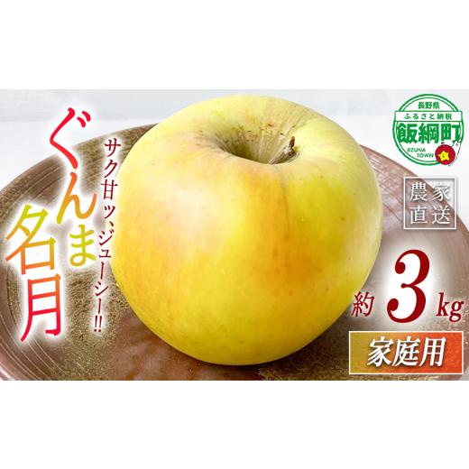 ふるさと納税 りんご 長野県 飯綱町 りんご 名月 ぐんま名月 家庭用 3kg ヤマウラ農園 沖縄県への配送不可 2026年11月中旬頃から2026年11月下旬頃まで順次発送…