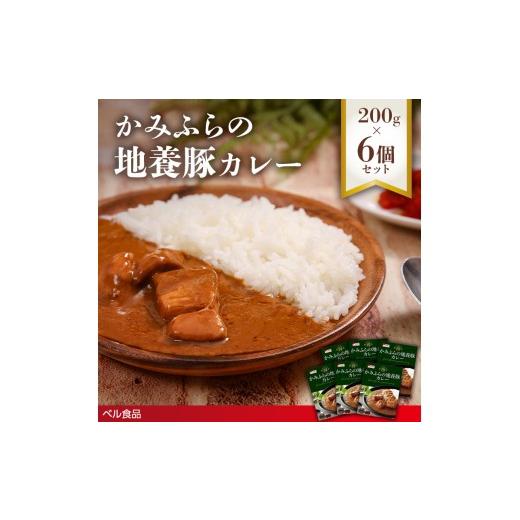 ふるさと納税 惣菜・レトルト 北海道 遠軽町 かみふらの地養豚カレー 200g 6個セットen01-00211