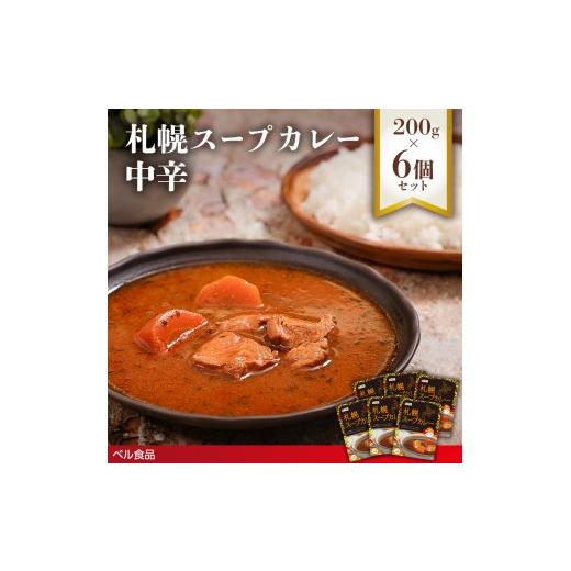 ふるさと納税 惣菜・レトルト 北海道 遠軽町 札幌スープカレー 中辛 200g 6個セットen01-00219